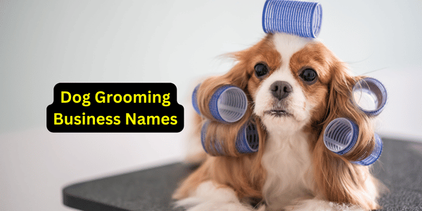 Dog Grooming Business Names